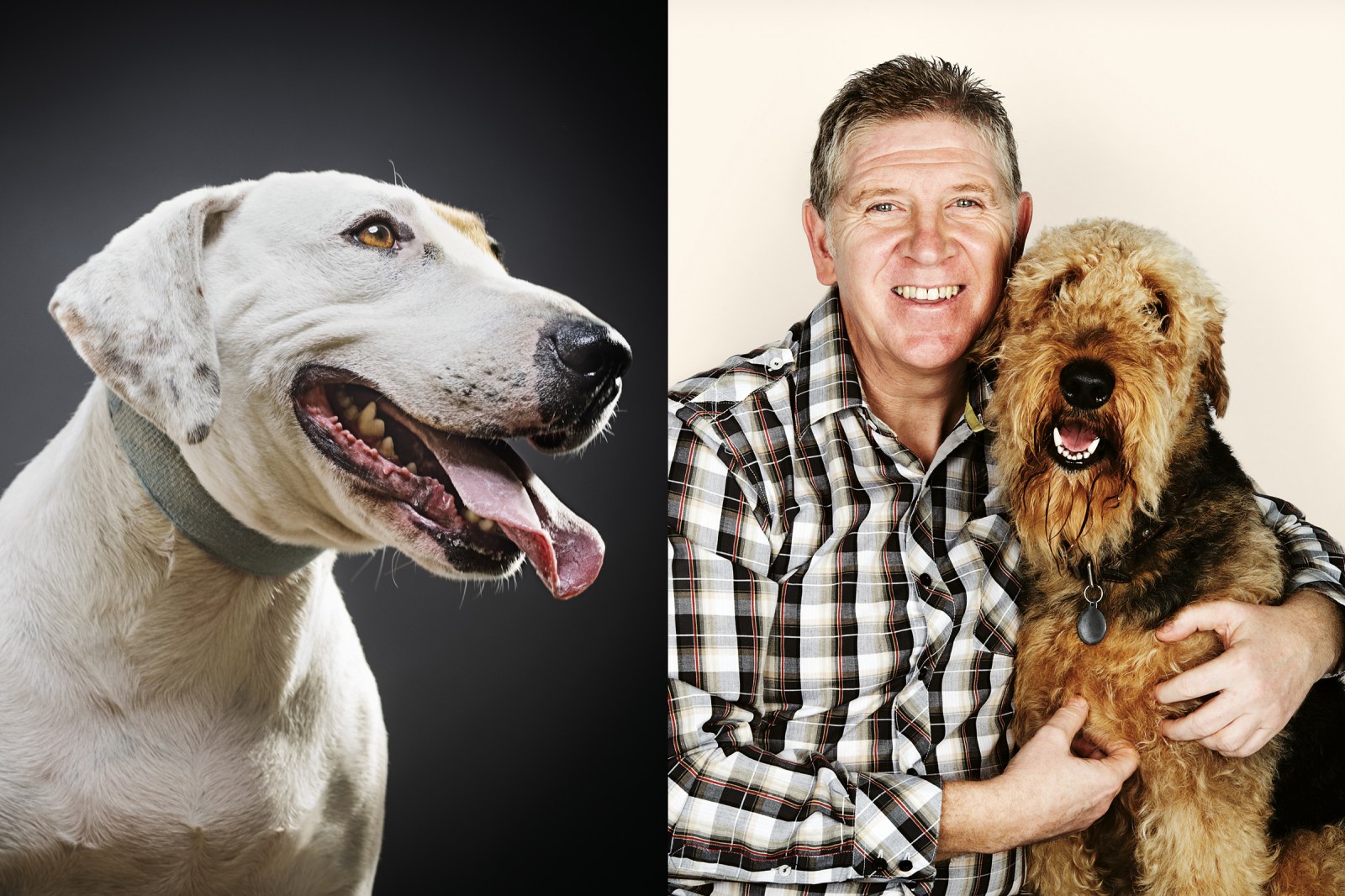 2234665-fe-dogs-05.jpg?w=1600\u0026quali