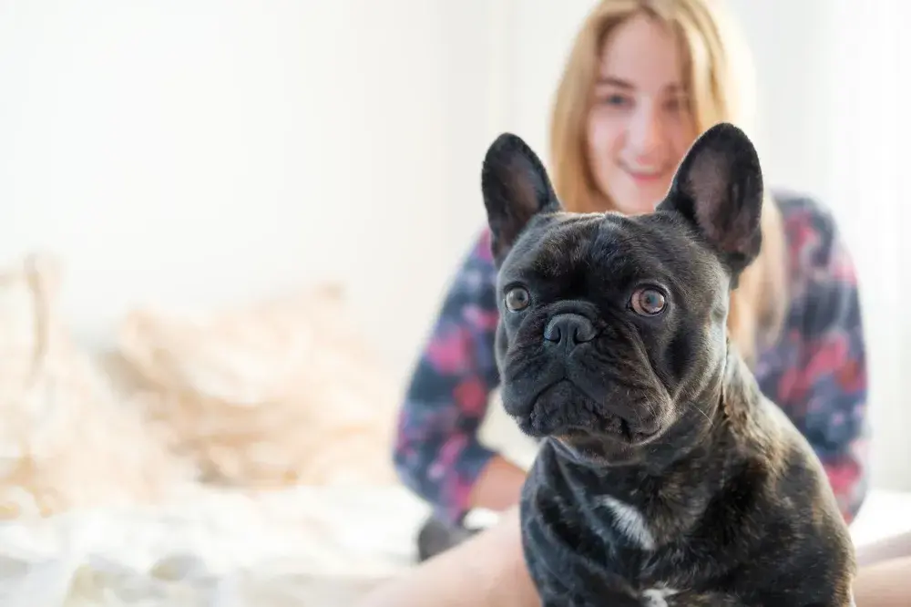 iStock / Getty Images Plus