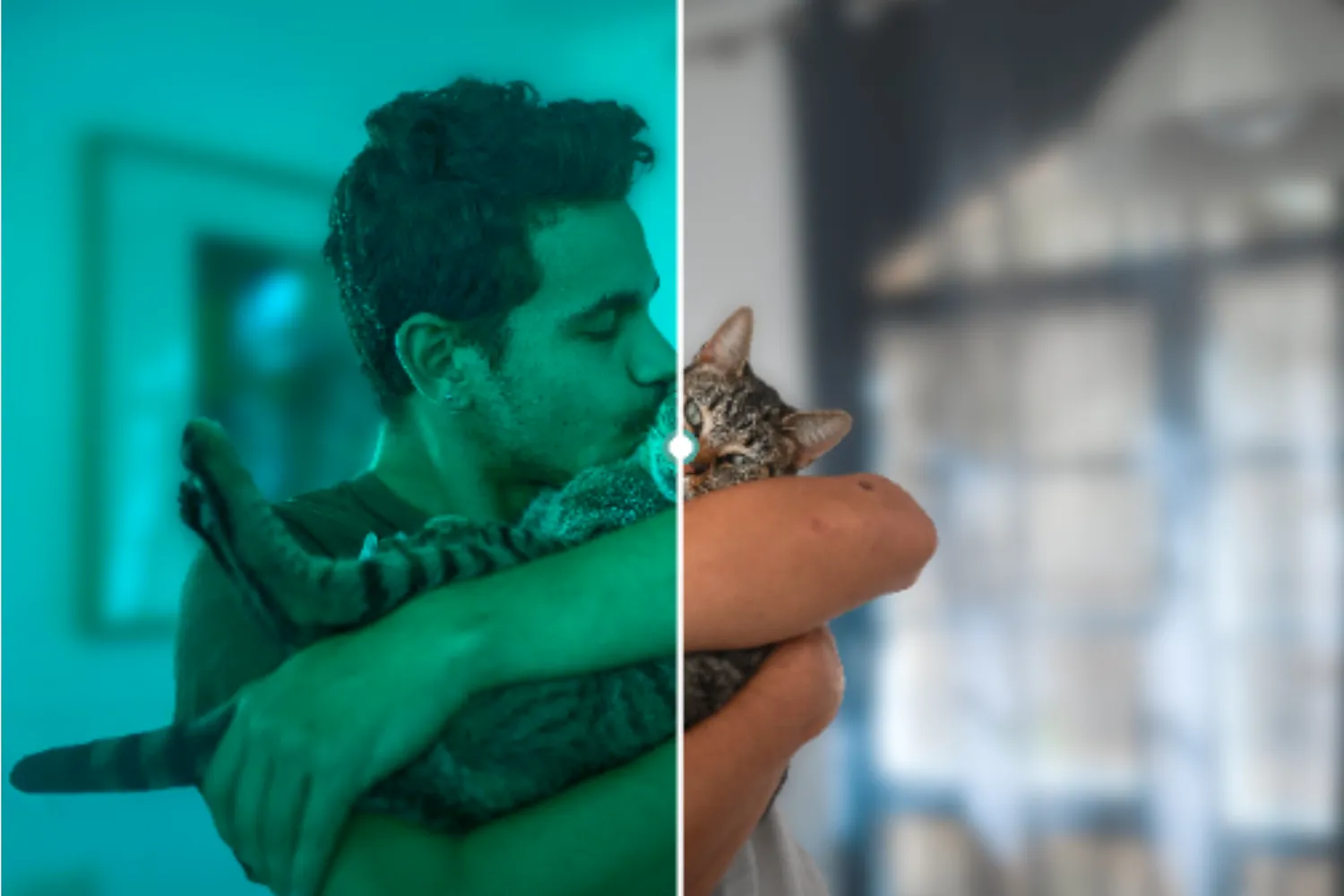TikTok cat vision filter