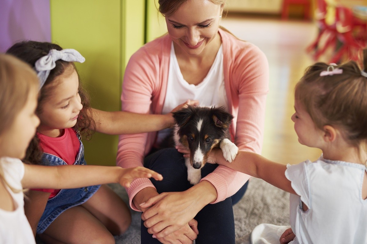 Internet Amazed by the Day in the Life of a School Therapy Dog - Newsweek