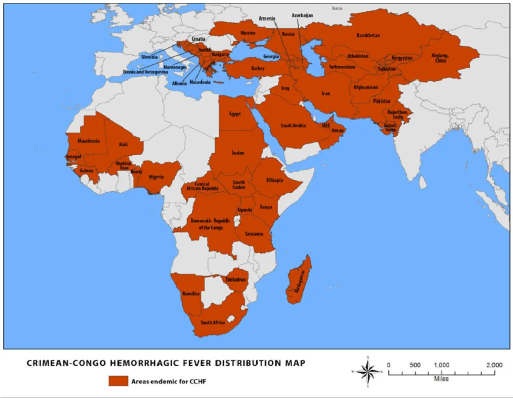 Deadly Hemorrhagic Virus Spreading to New Countries, Scientists Warn ...