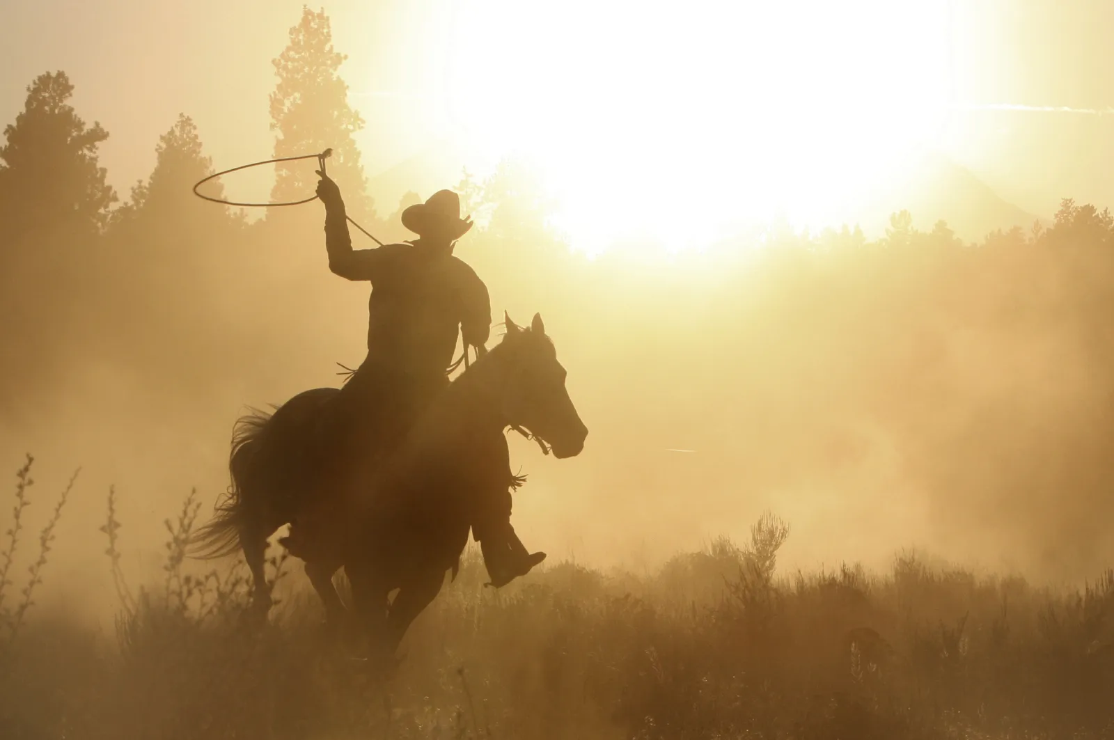 Rodeo Cowboy And His Horse Killed By Lightning Strike - Newsweek