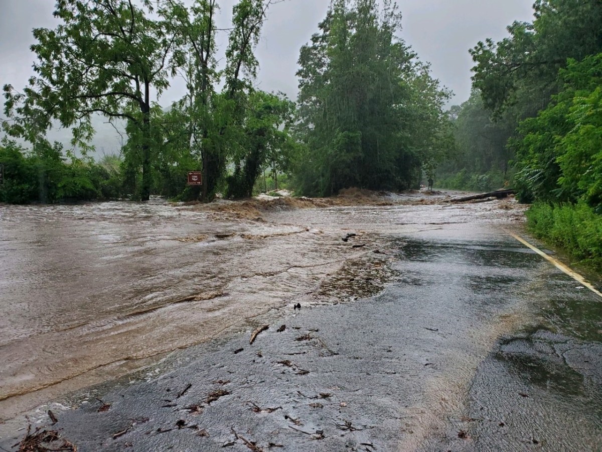 Videos, Photos Show Submerged Cars Amid Flash Floods in New York - Newsweek