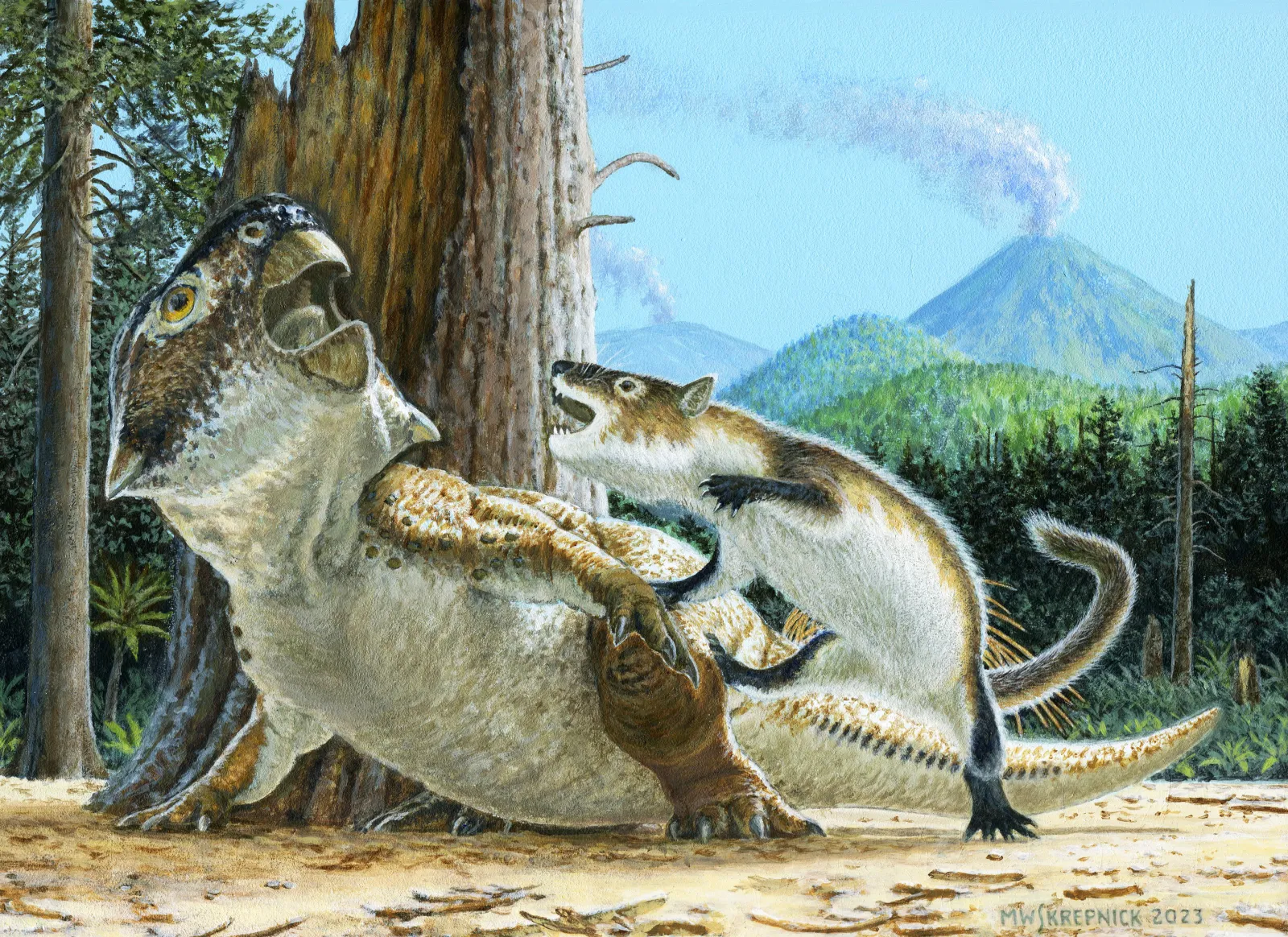 Extraordinary 125 Million-Year-Old Fossil Shows Dinosaur in 'Mortal Combat'  - Newsweek