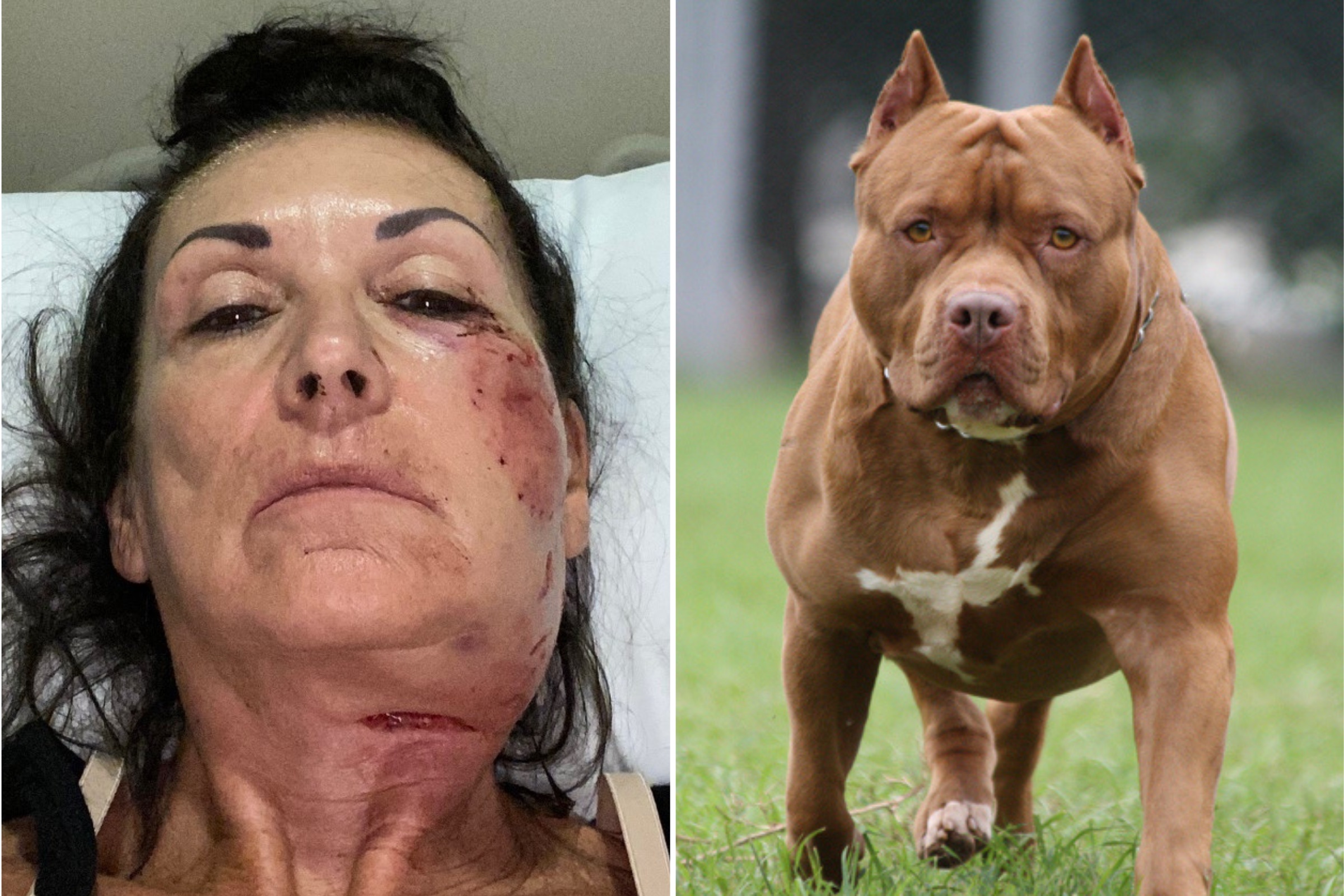 2260044-rhonda-sitterly-was-