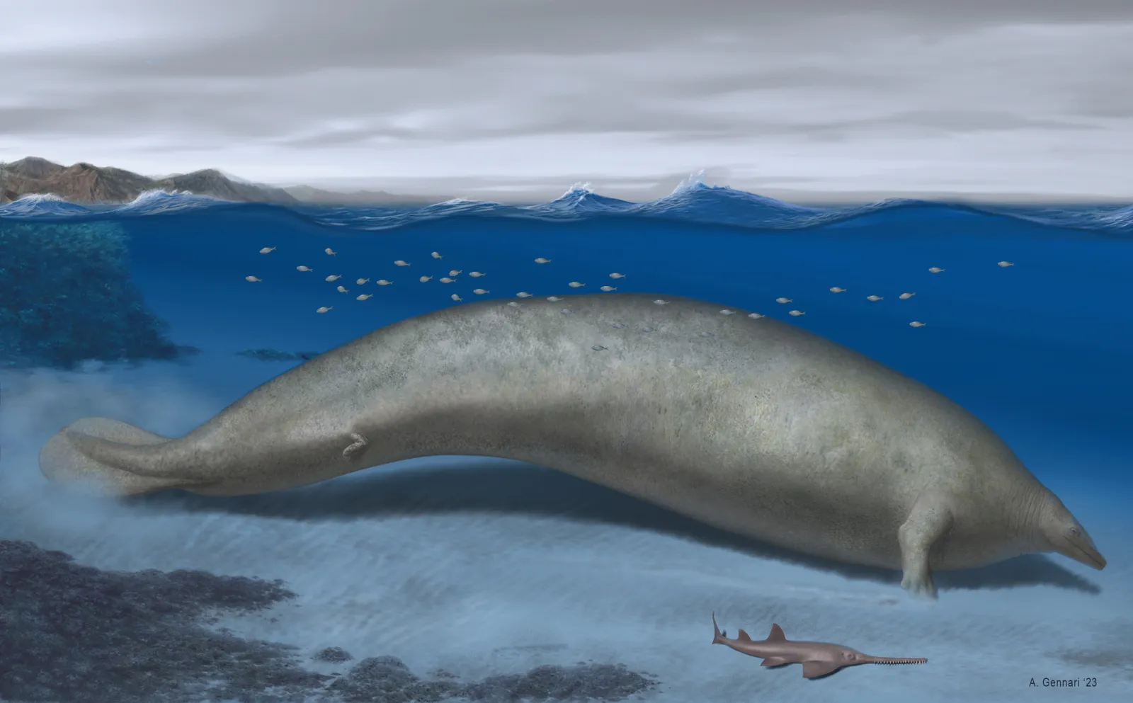 Gigantic New Species of Ancient Whale May Be Heaviest Animal Ever to Exist