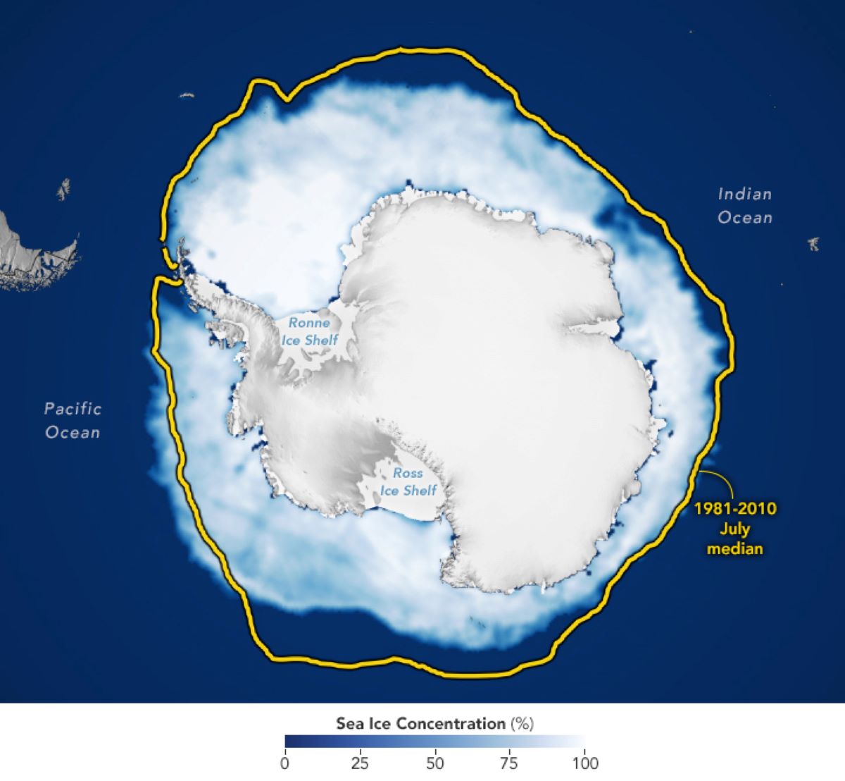 Image Shows Antarctic Ice After Hottest Month Ever: 'Uncharted