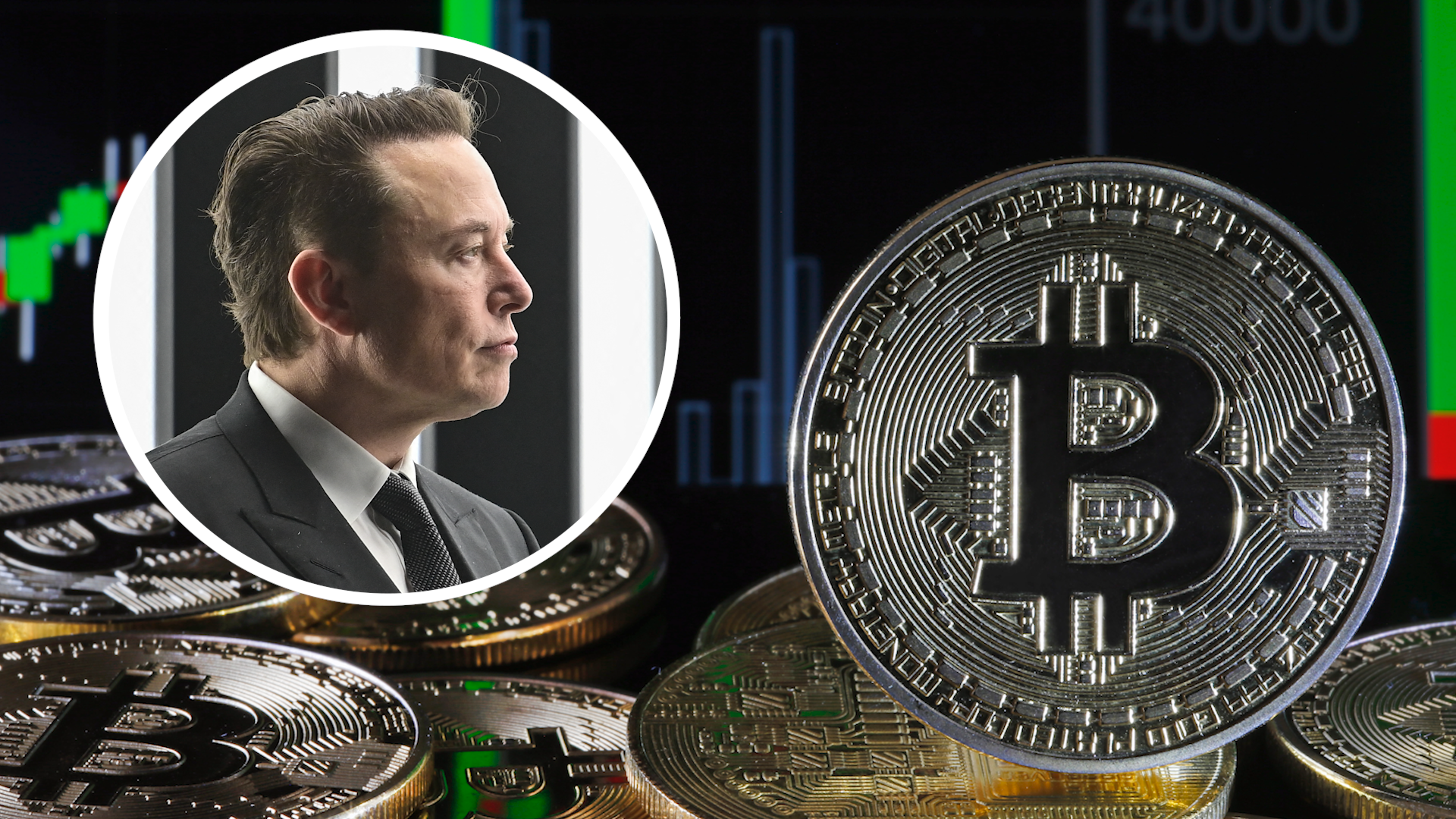Meme Coin Kembali Meledak Berkat Elon Musk, Presale PEPENODE Makin Ramai Diburu
