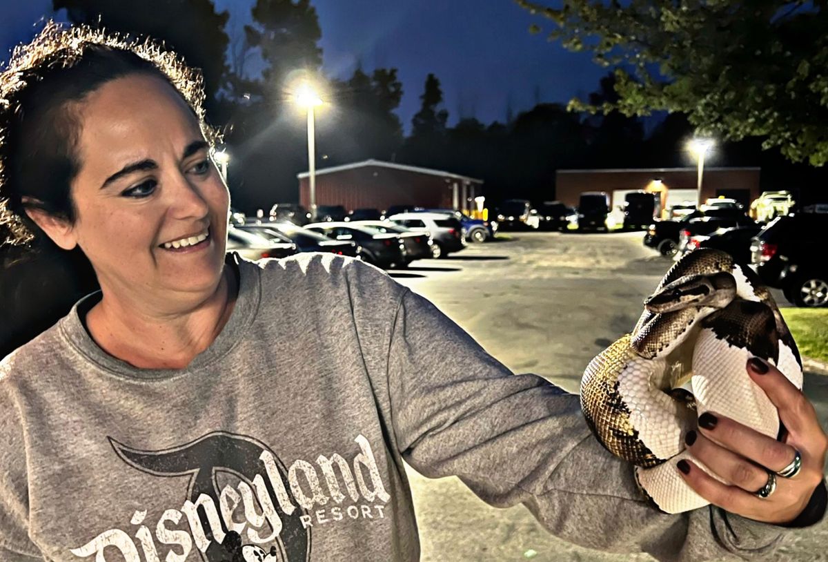 Mystery of New York Car Wash Where 5 Pythons Have Turned up in One ...