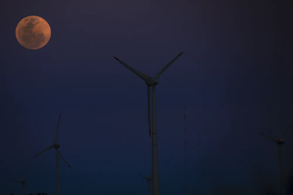 Rare Blue Supermoon Photos From Around the World - Newsweek