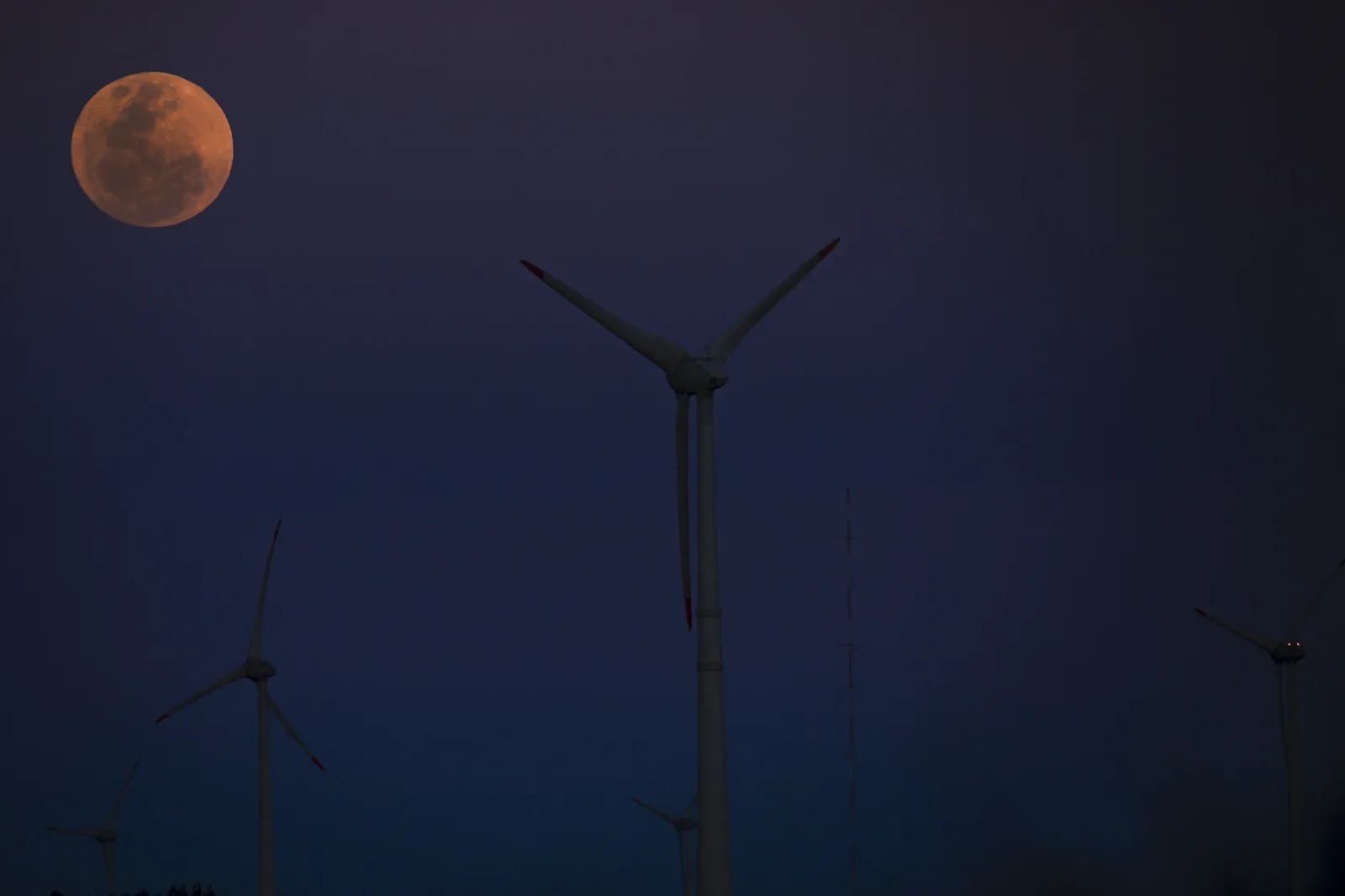 Rare Blue Supermoon Photos From Around the World - Newsweek