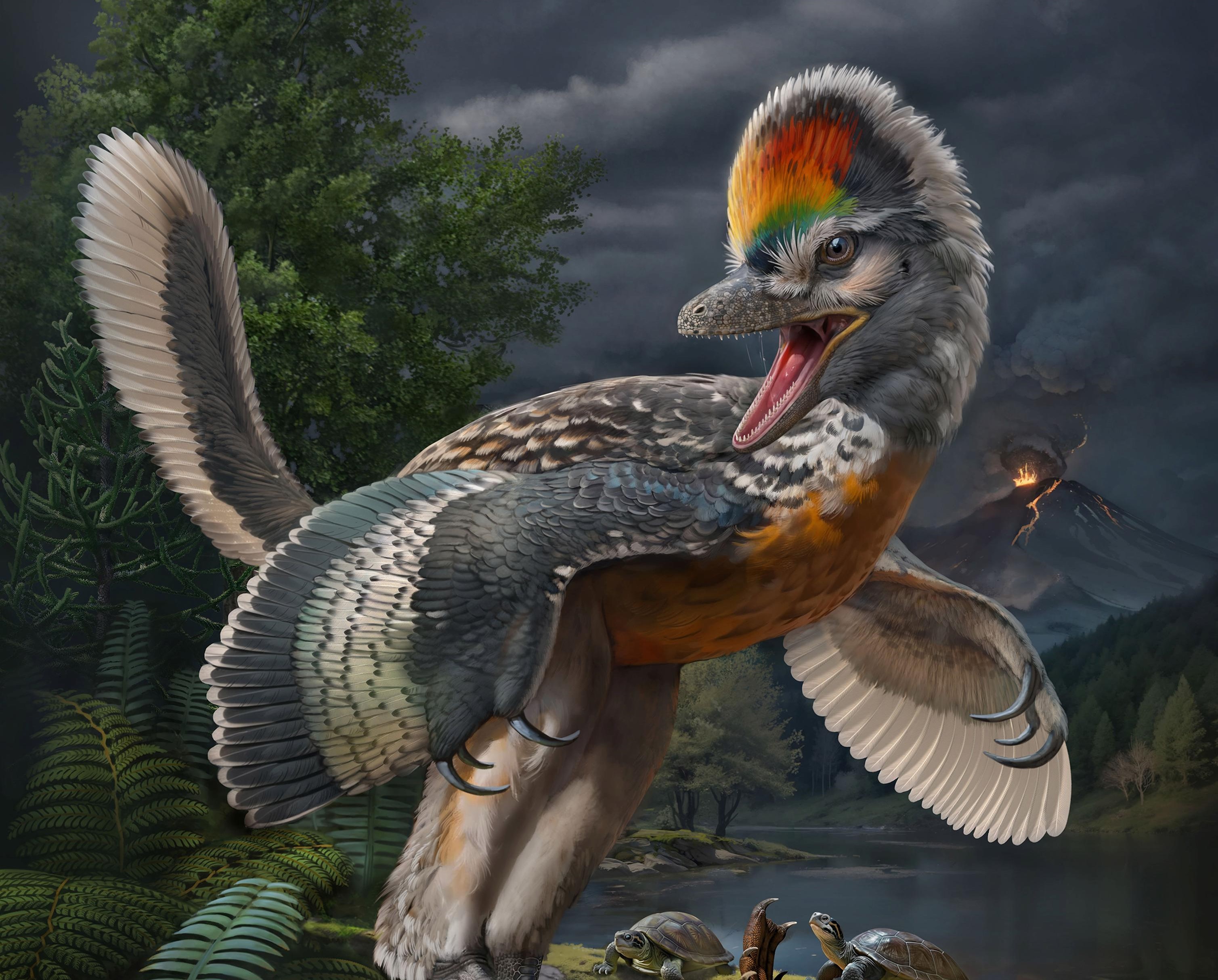 2278294-leggy-bird-dinosaur.jpg