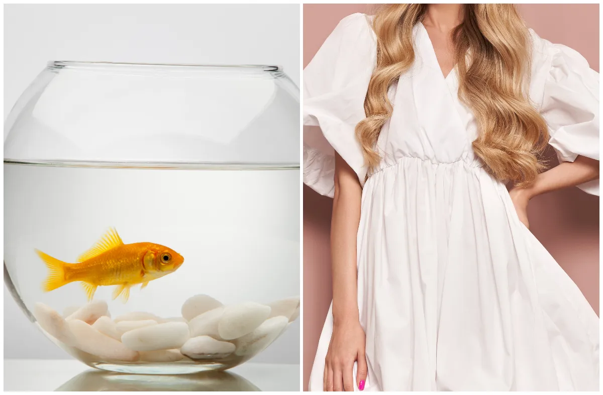 gold dress coat Yumemiru Goldfish Flower Lolita Dress with Arm Sleeves and Hair Access –  ロリータファッション通販RonRon main image 1