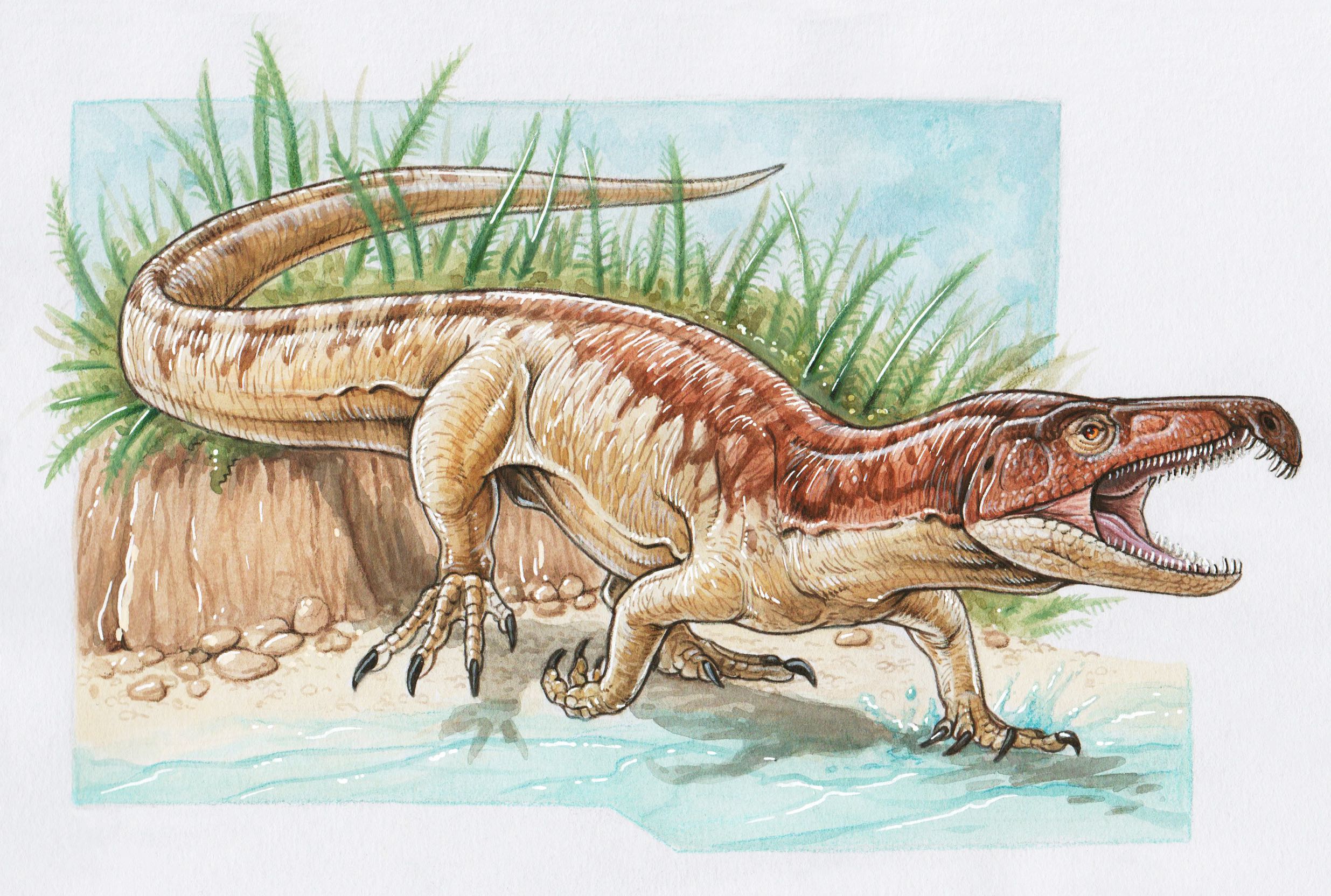 New Species of Croc-Like Creature From 250 Million Years Ago