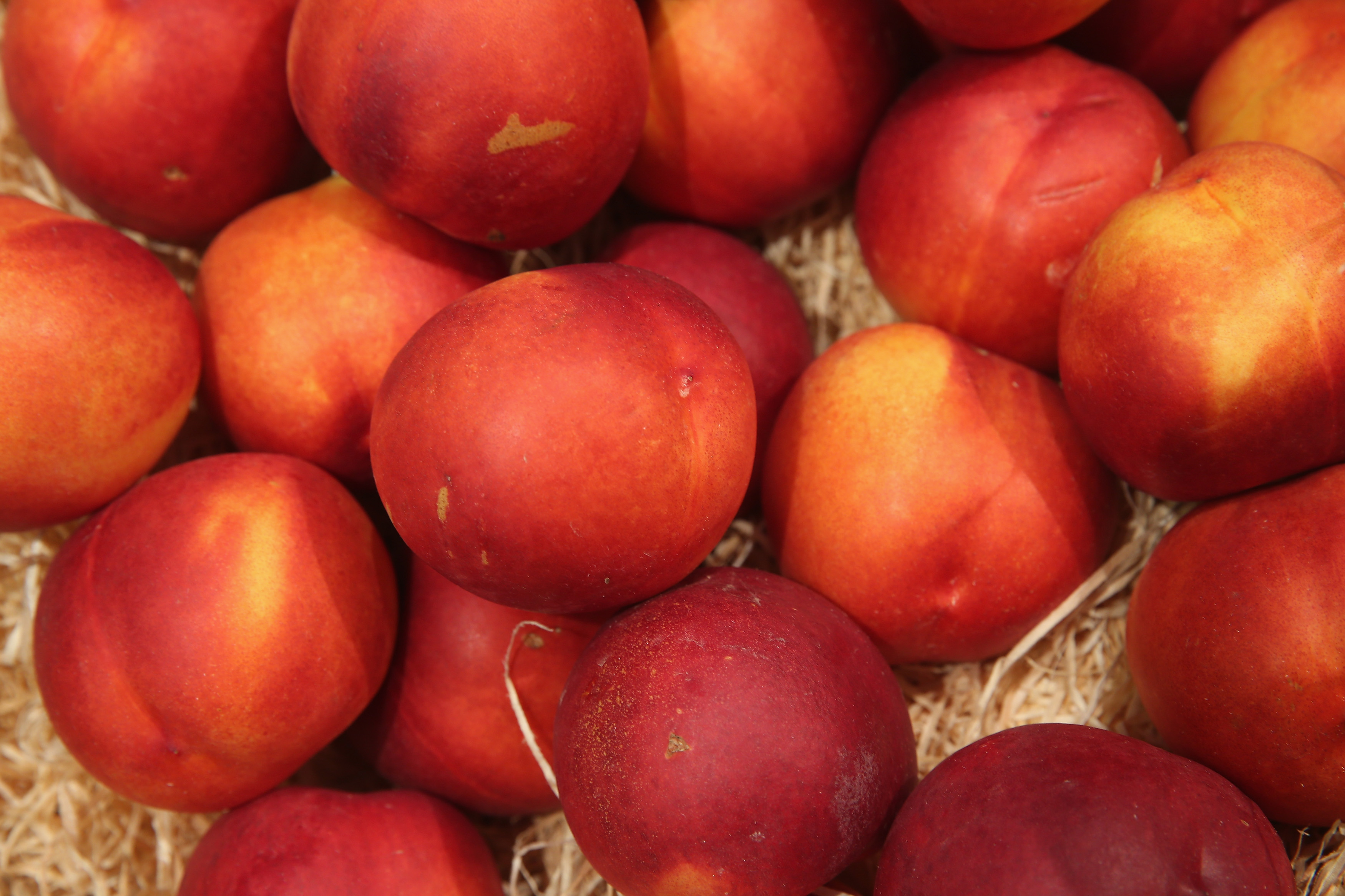 Fruit Recall as Threat-to-Life Warning Issued
