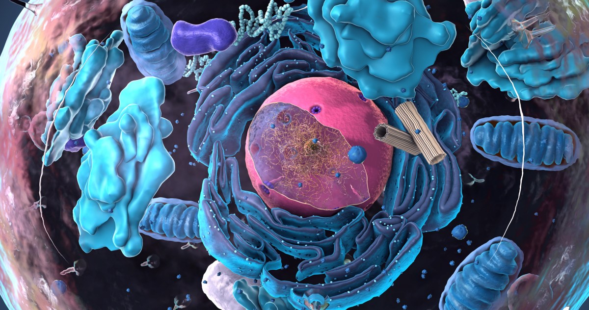 Biochemists Reveal Cellular Repair Mechanism To Slow Aging - Newsweek