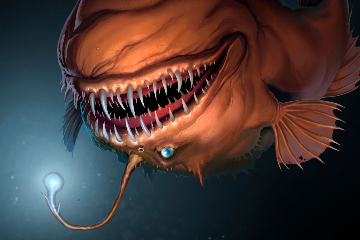 Slanted Fish Marine Biologists Find Fish That Spend Whole Lives Swimming Upside Down ...