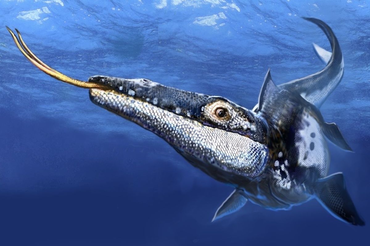 ‘Formidable’ Predator That Ruled the Sea 90 Million Years Ago ...