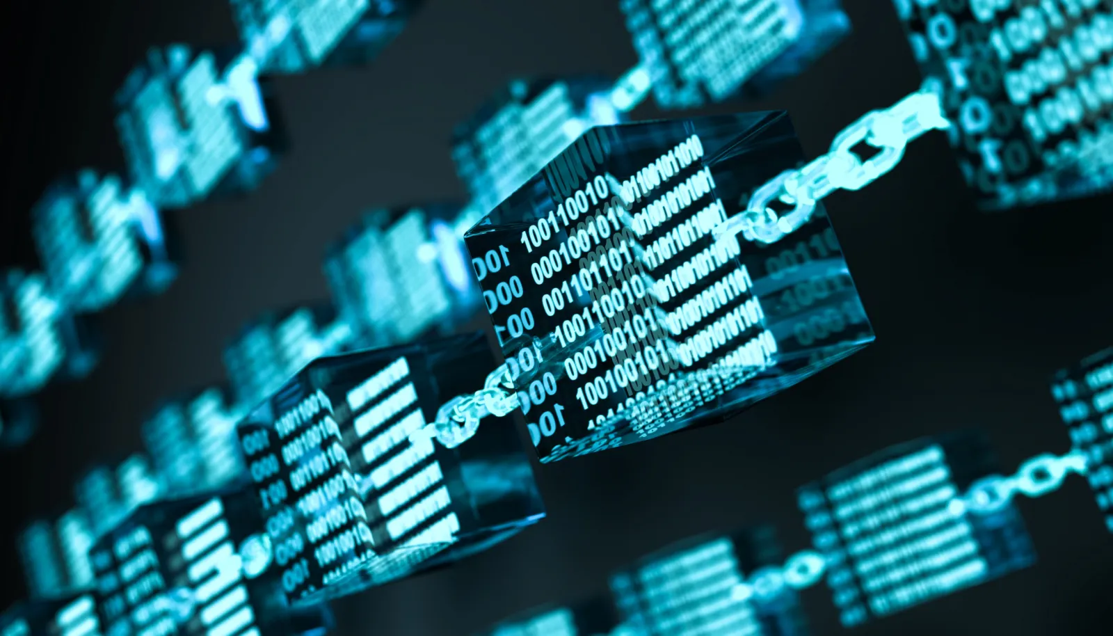 To Avoid Danger, U.S. Must Lead on Crypto and Blockchain | Opinion -  Newsweek