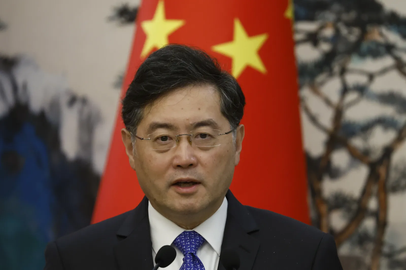Qin Gang Former Foreign Minister