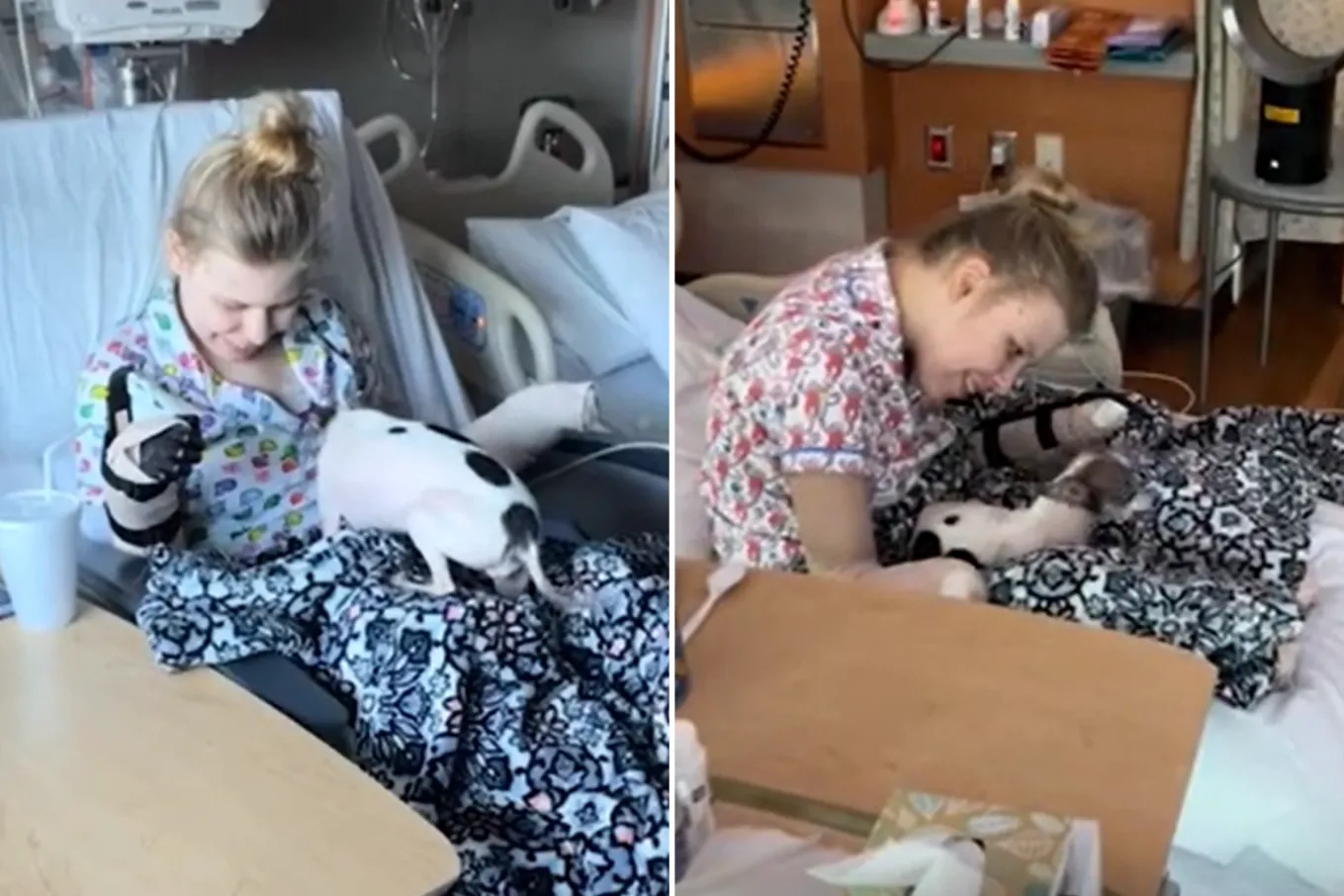Moment Woman in Coma for Weeks Reunites With Dog After Losing Her Limbs ...