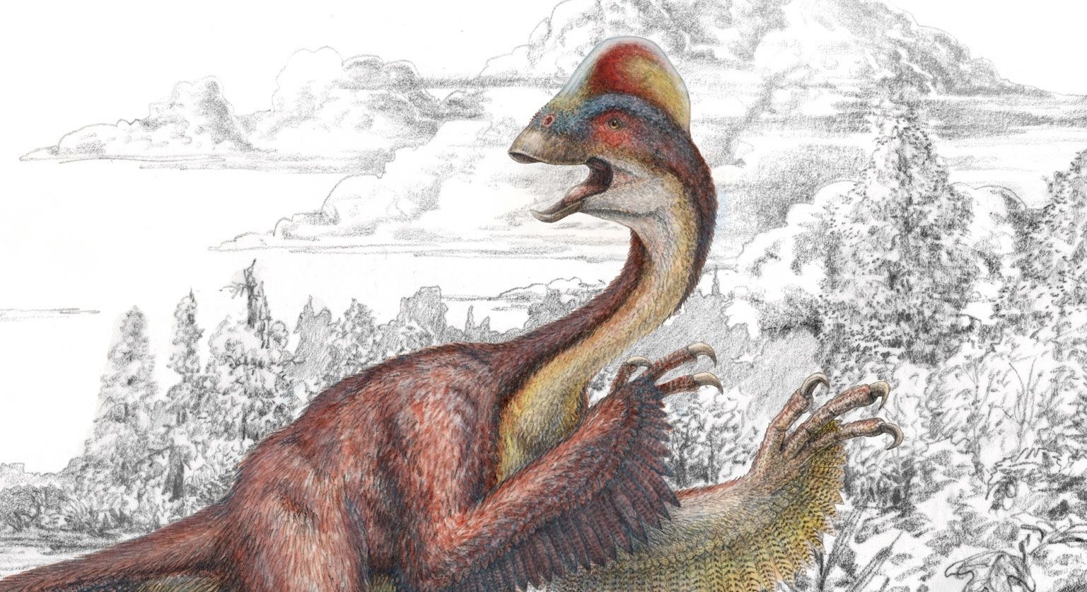 Scientists Add 'Chicken From Hell' Dino to the Fossil Record