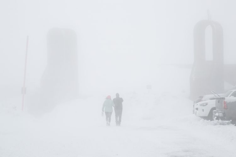 Blizzard Warning Issued for Five States Amid Major Winter Storm - Newsweek