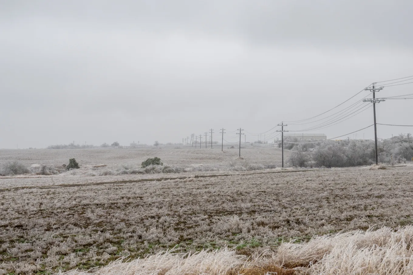Winter Weather Warning as Temperatures Plunge at U.S. Mexico Border ...
