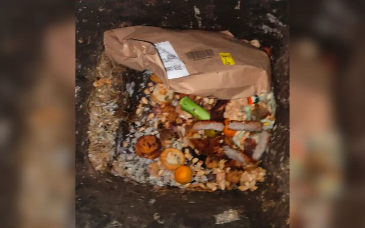 Amazon Customer Left ‘Retching’ After Discovering Where Parcel Was Left ...