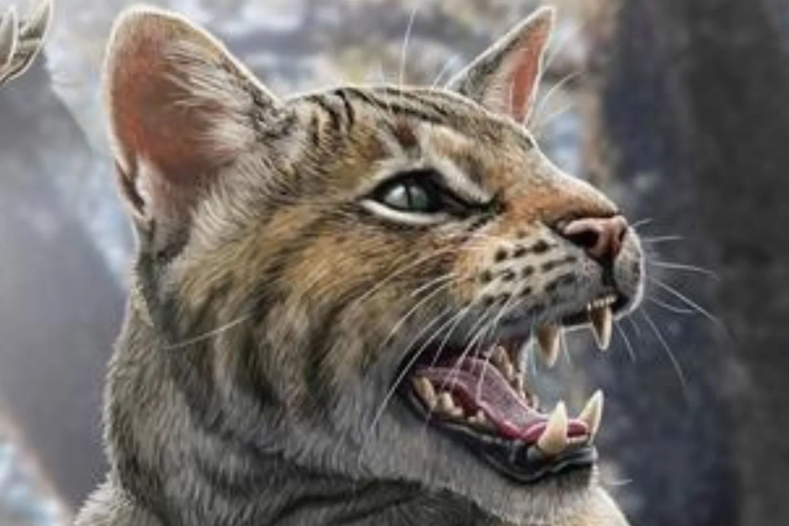 New Species of Prehistoric Cat Discovered With 'Powerful Bite' - Newsweek, image size:1600x1066
