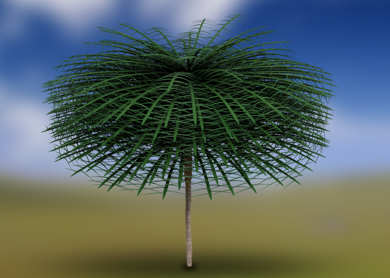 Rare Fossils Reveal 'Absolutely Unique' Tree From 350 Million