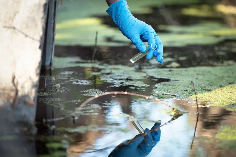 US Drinking Water at Risk As Nitrogen Pollution in River Basins Increases