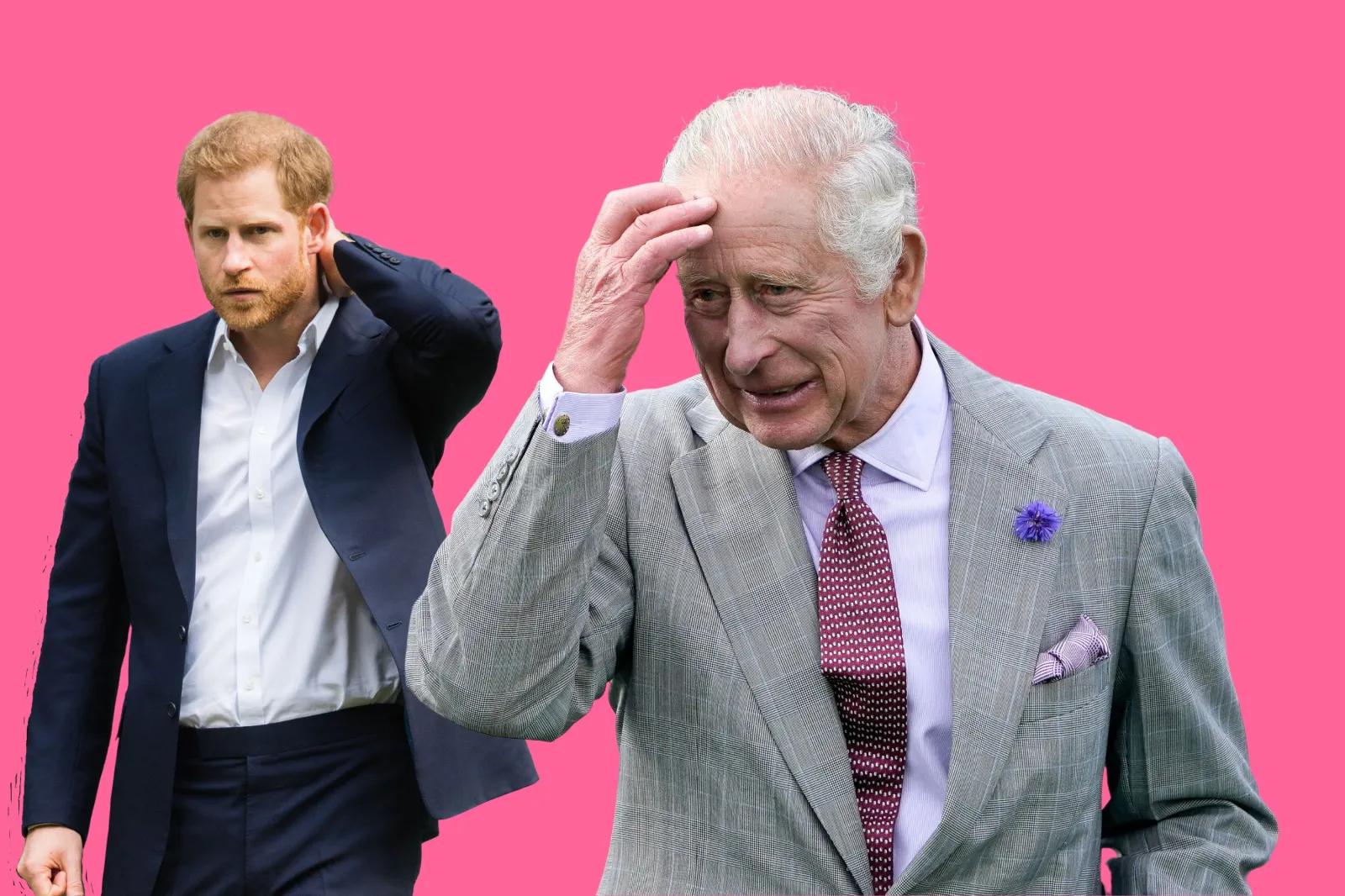 Prince Harry and King Charles' Relationship Under Pressure Again - Newsweek