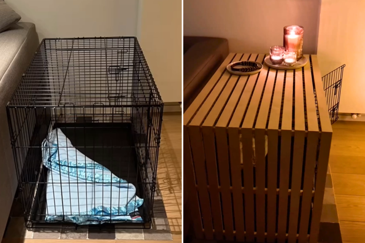 Couple Upcycle Dog Crate Into ‘Stylish’ Home Décor in 12 Hours - Newsweek - Upcycled Dog Crate Furniture Conversion Ideas