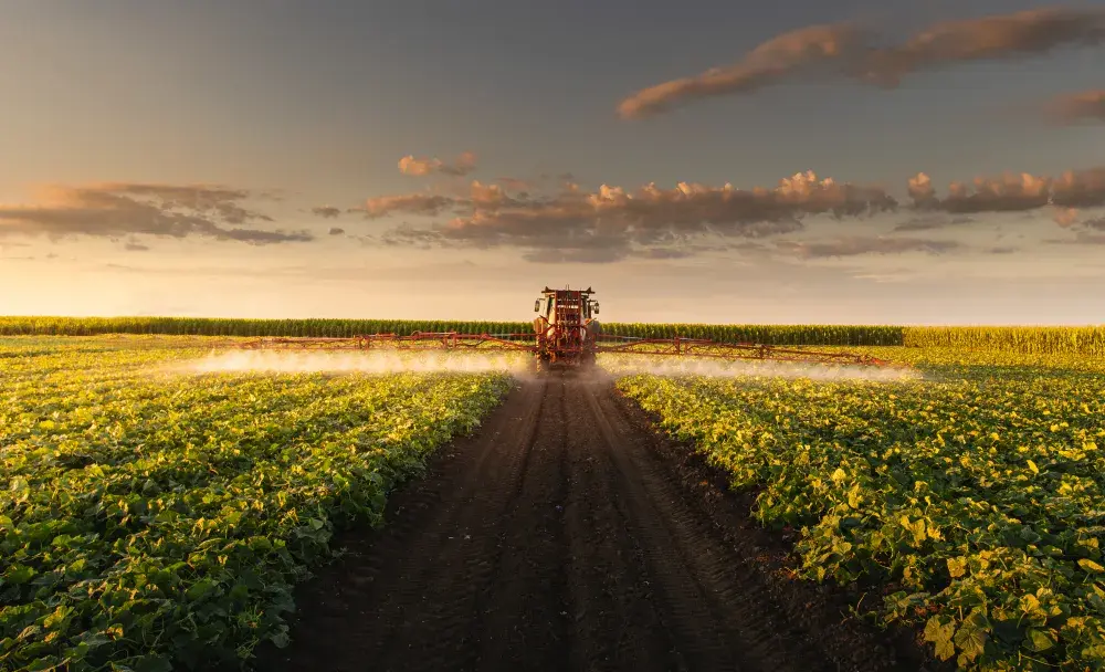 US Crops Under Threat From ‘Unsustainable Phenomenon’