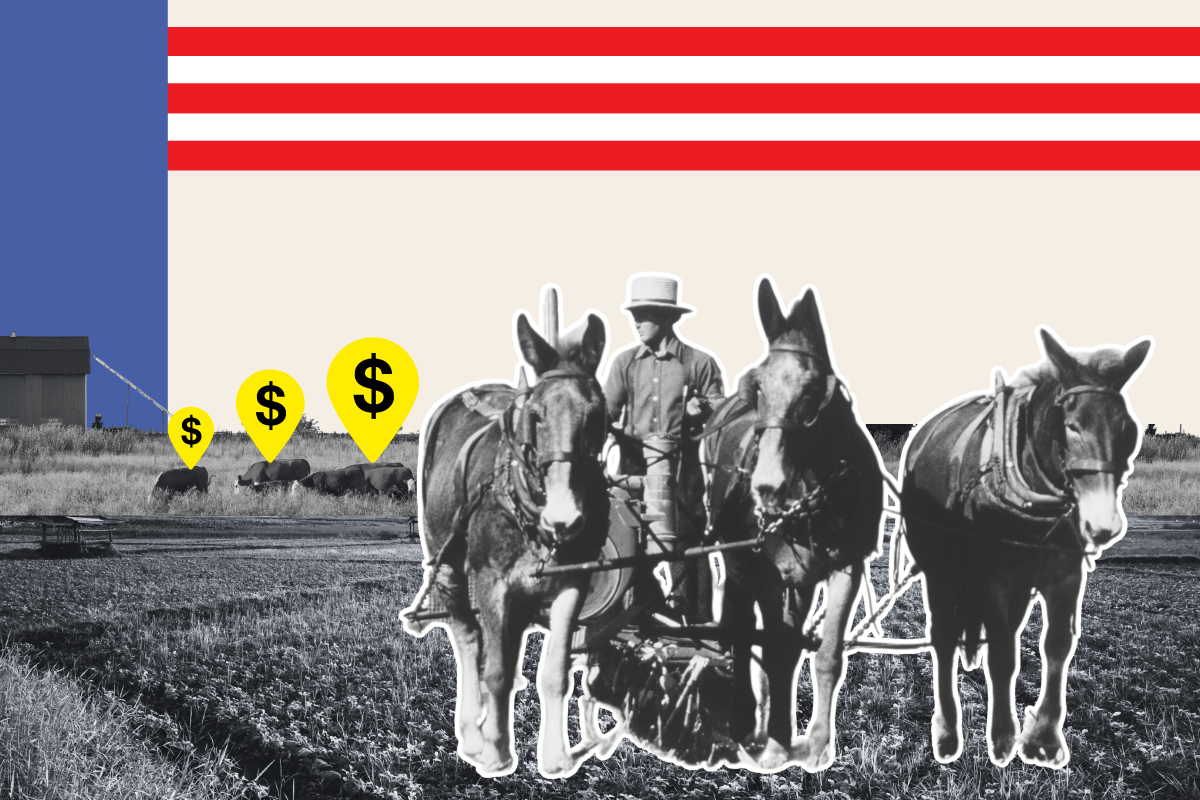 Amish Farmer Turned Republican Hero Becomes Flash Point in Culture War ...
