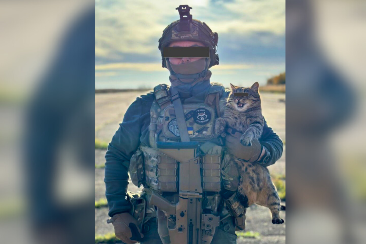 専用　usss cat fbi warrior2ptt American Secret Service Counter Assault Team (CAT) operatives