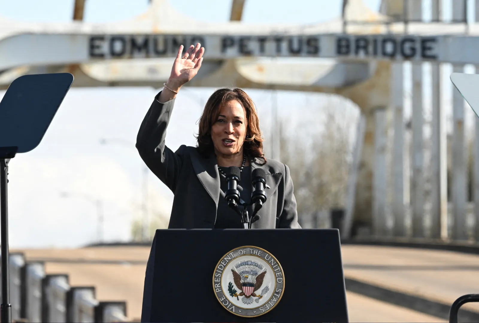 Kamala Harris Demands ‘Immediate’ Ceasefire in Gaza - Newsweek