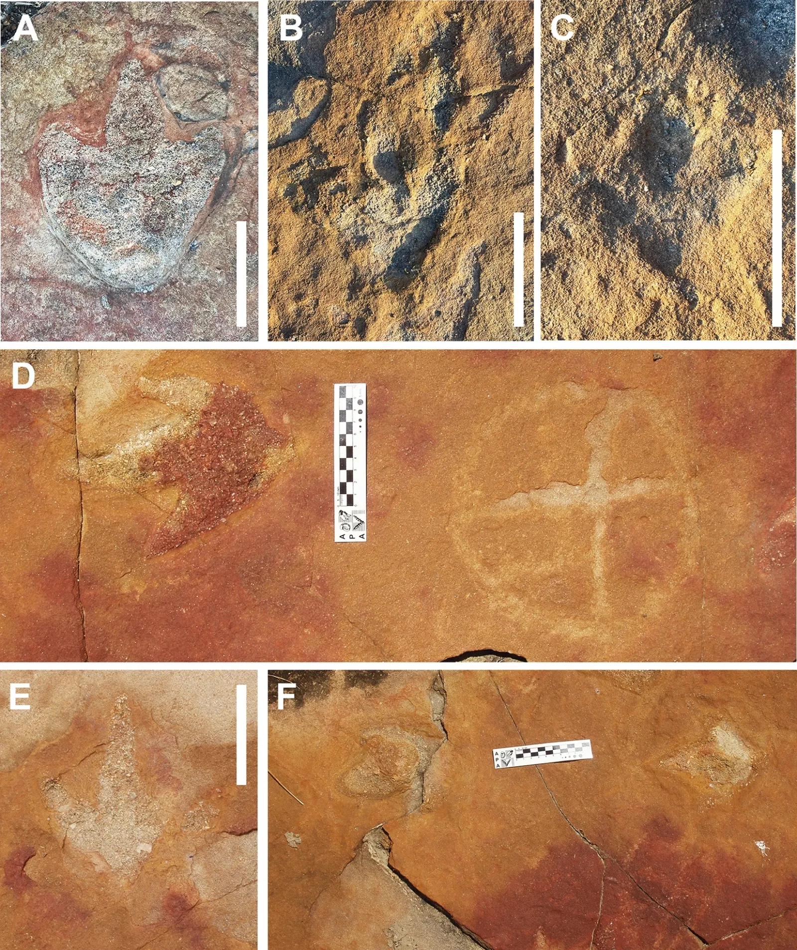 Bendricks Rocks ‘Remarkable’ Rock Art and Dinosaur Footprint Site ‘Like No Other ...