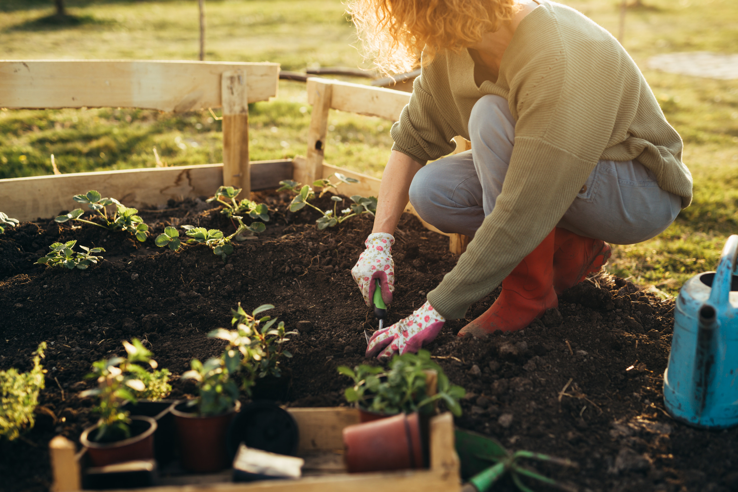 Woman Thinks Tomatoes Grow in Her Yard—Then Has Horrifying Realization