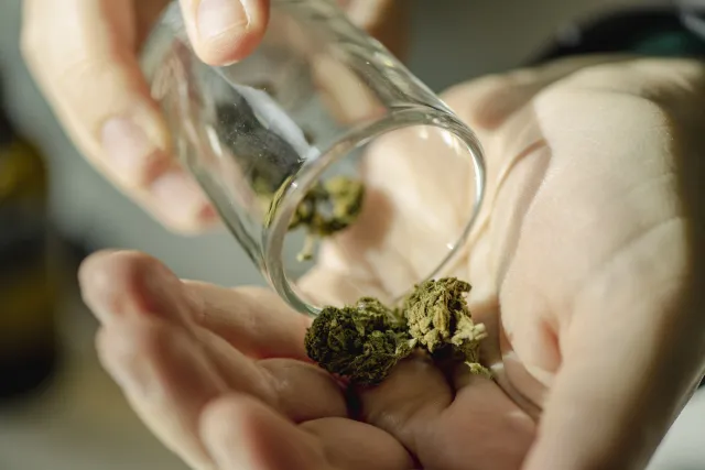 US Marijuana Industry Hits All-Time High