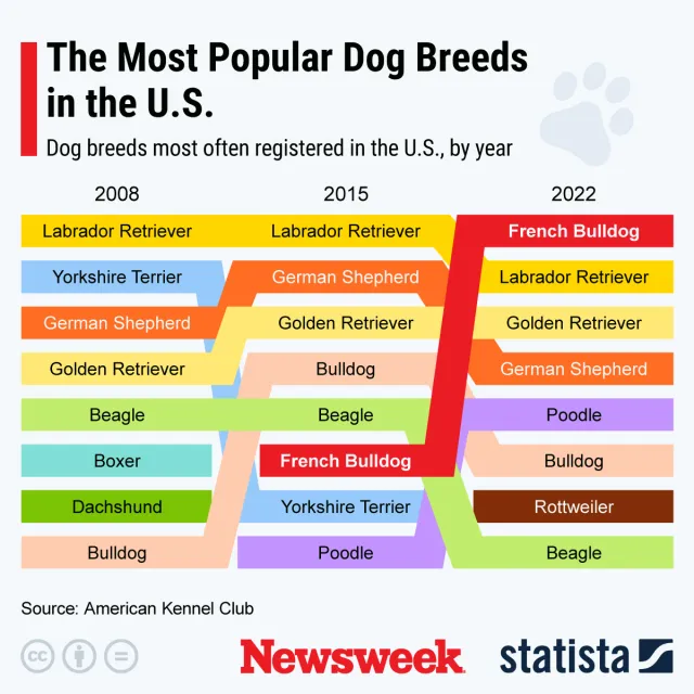 Statista graphic on popular dog breeds.