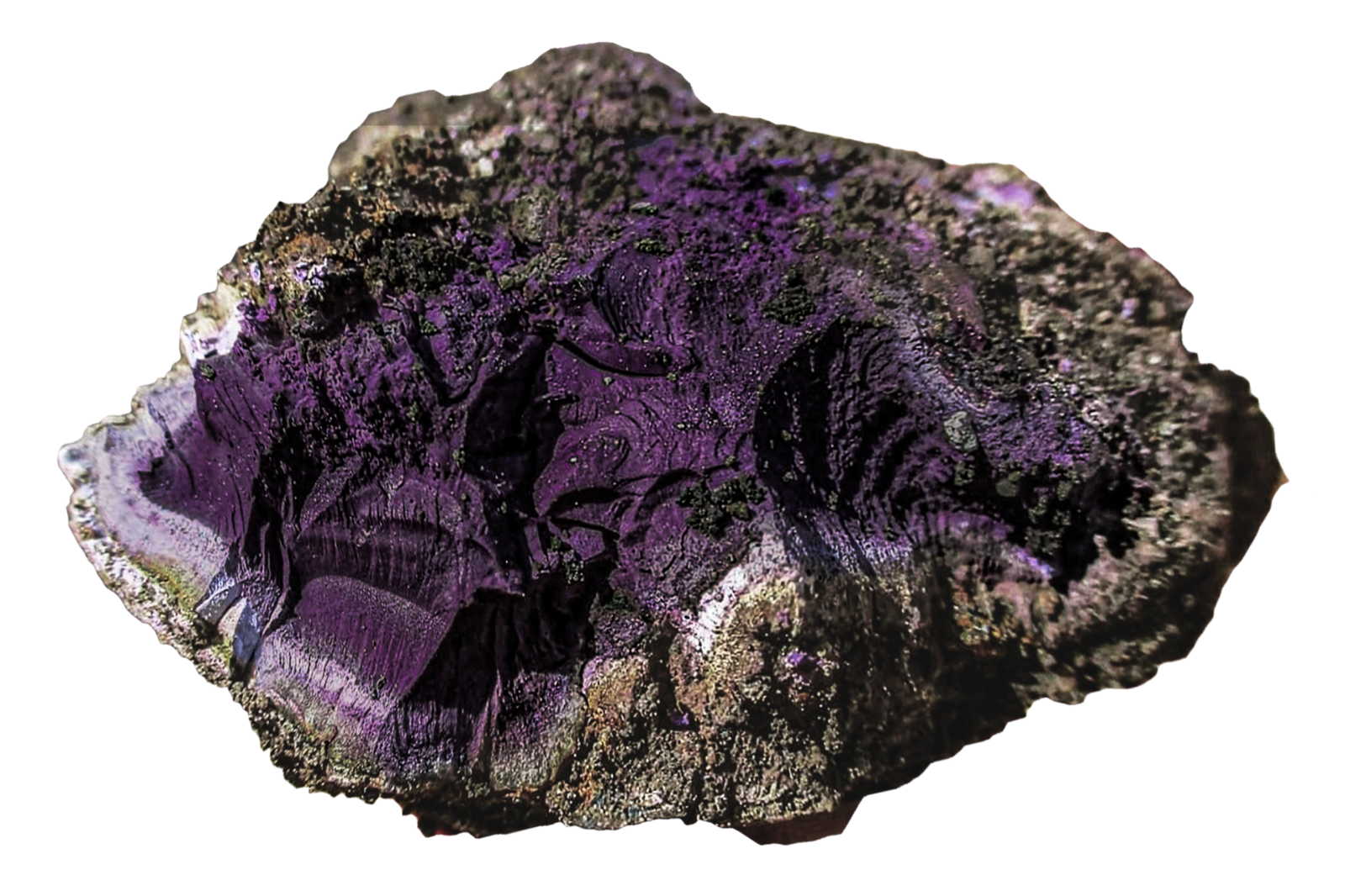 2388079-sample-tryian-purple.