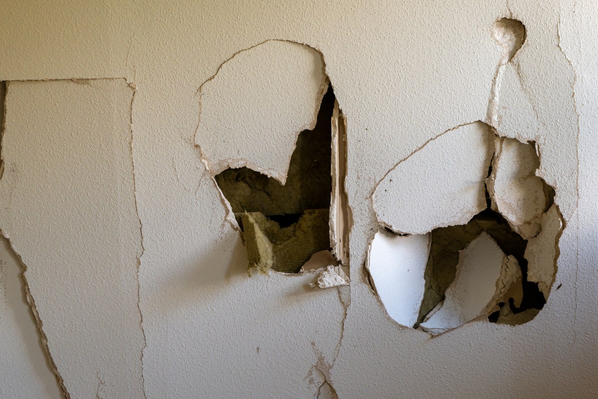 Internet Baffled by ‘Bizarre’ Discovery Homeowner Makes in Wall Cavity ...