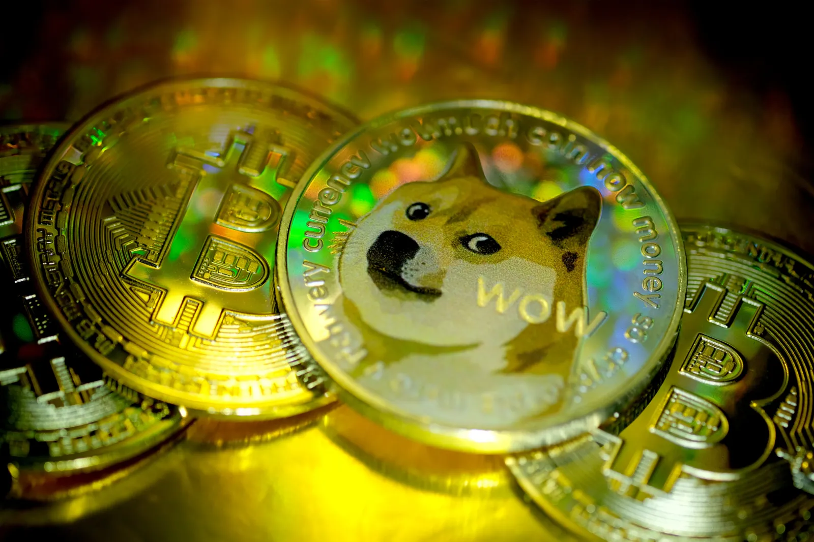 Dogecoin Investor Lost Out on More Than One Million Dollar Fortune -  Newsweek