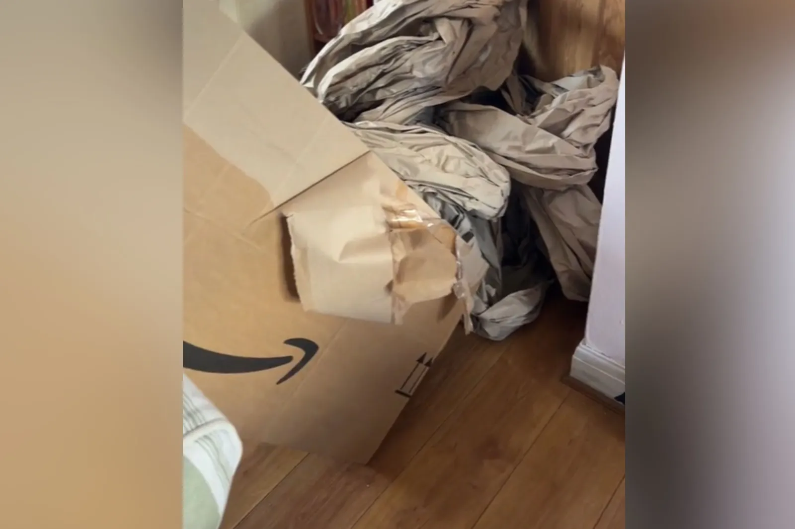 Woman Can’t Cope With How Amazon Delivers Parcel—’Lost the Plot ...
