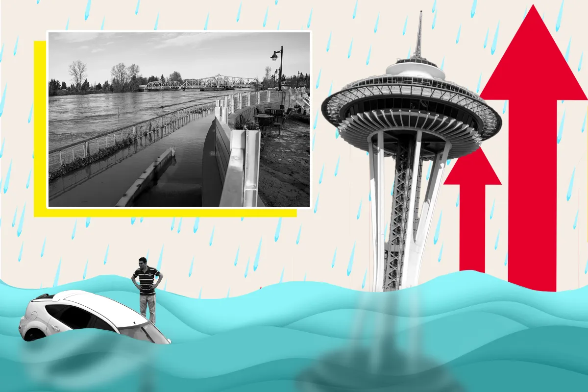 Washington Map Shows Where State Could Be Underwater From Sea Level ...