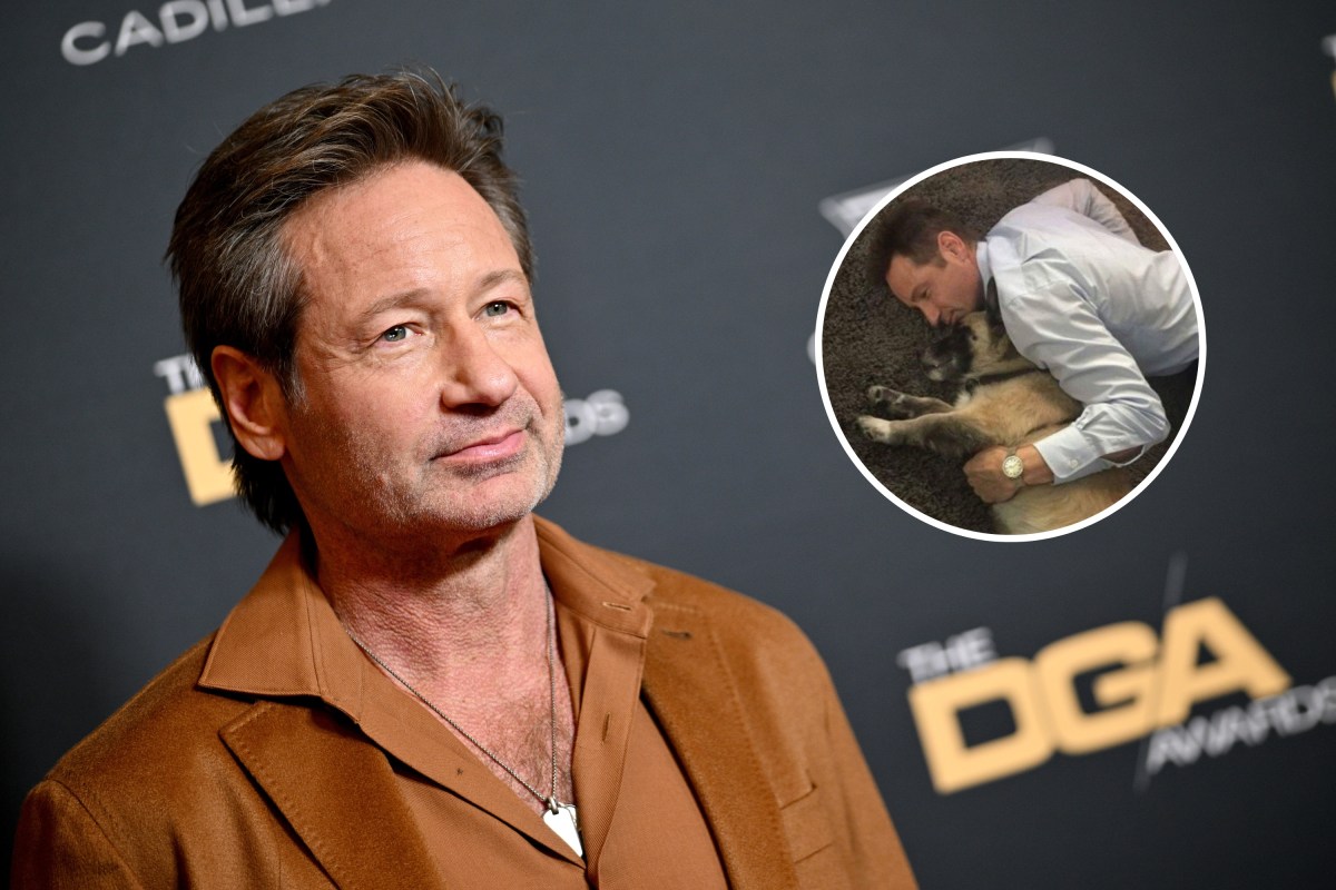 David Duchovny Supported by Gillian Anderson As Emotional Update Goes