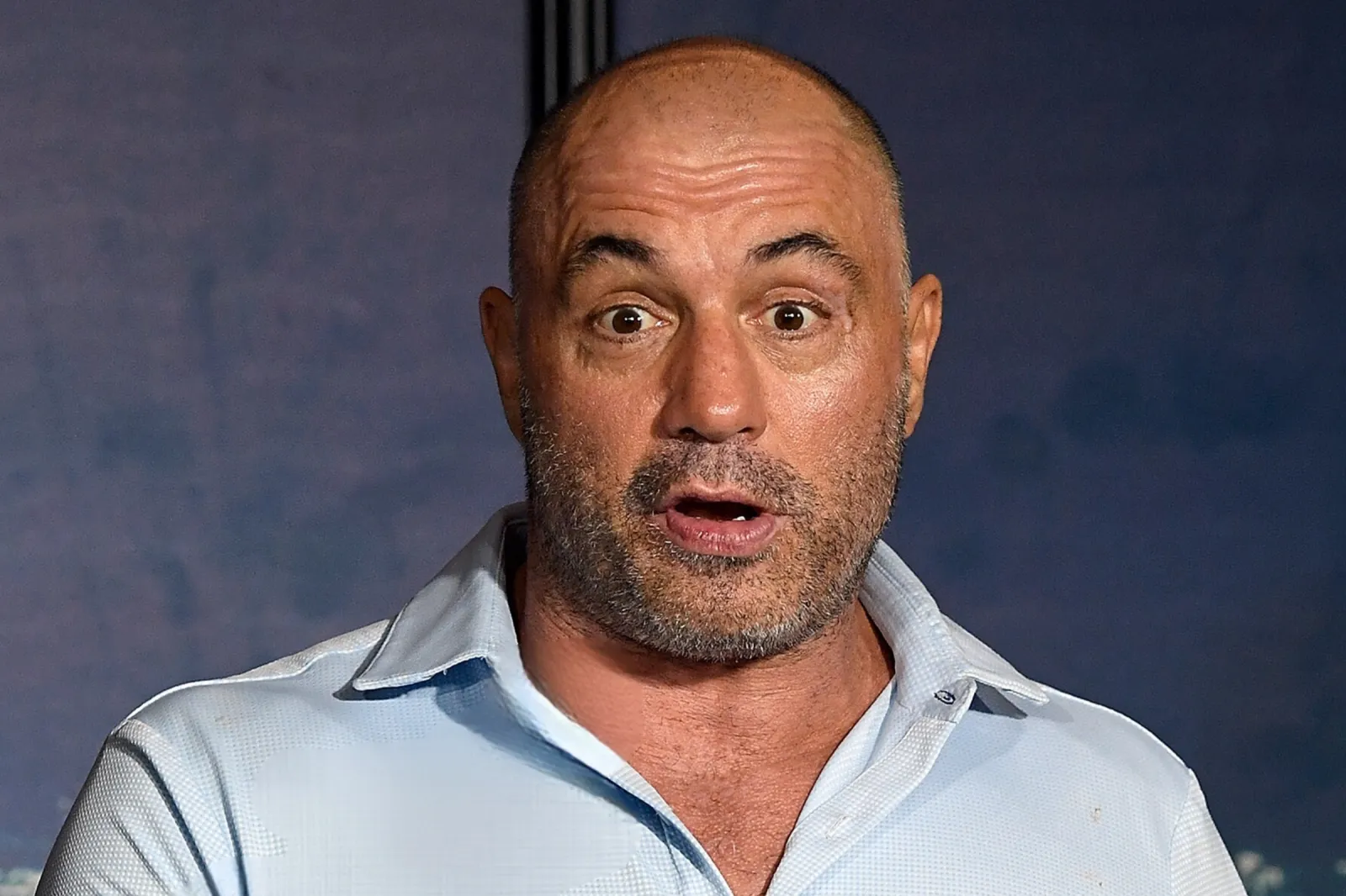 Joe Rogan Reveals Terrifying Near-Death Experience - Newsweek