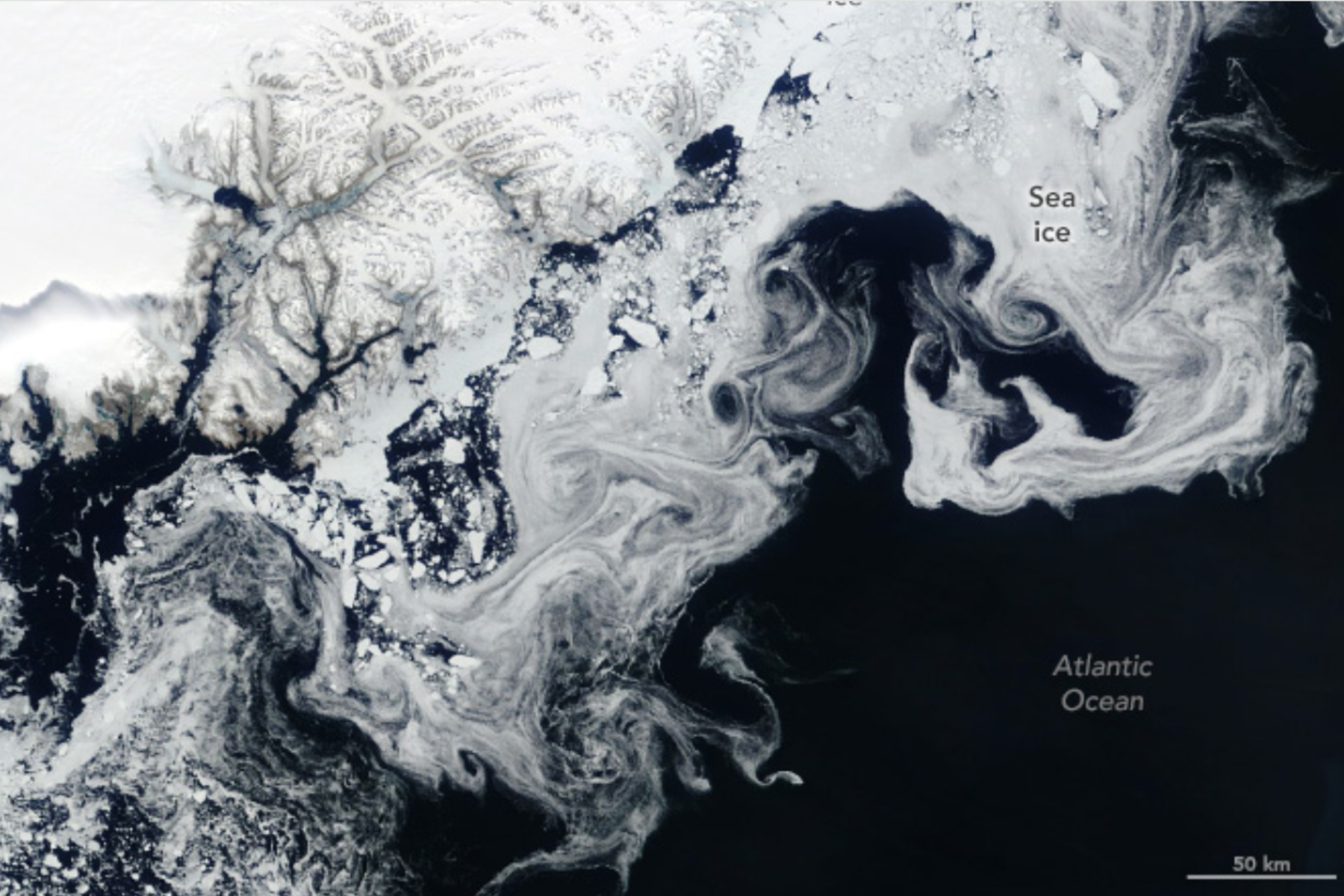 seaページ 2409593-sea-ice.jpg?w=1600&h=